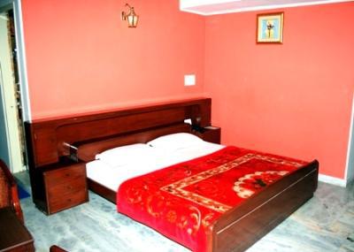 Hotel Welcome Palace Delhi  Esterno foto